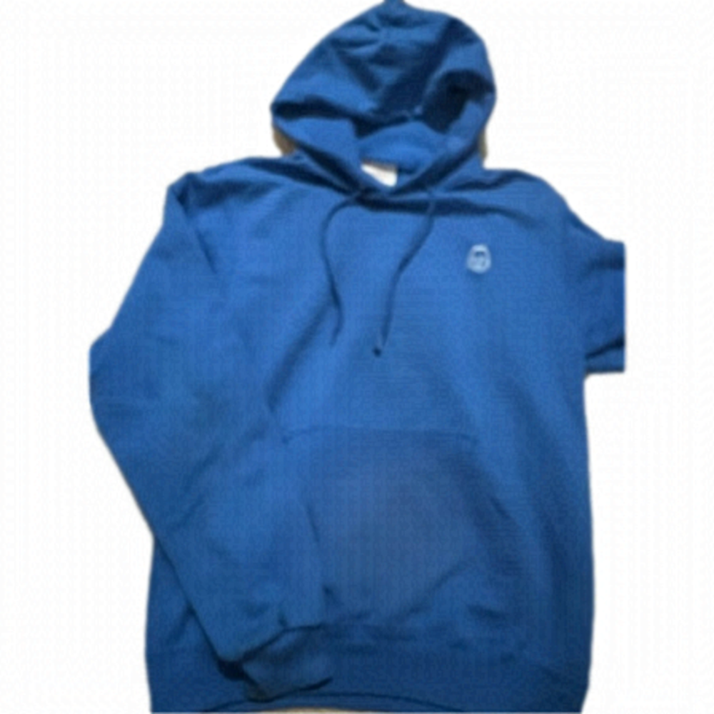 Champion WTB Earl Men’s Small Blue Hoodie, Teen Back To School, VGUC - Picture 2 of 8